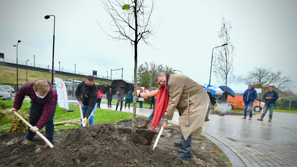 Groepsfoto van een man in een beige regenjas die een boom plant met een schop, gadegeslagen door een groep mensen met paraplu's. Een andere man met een mondkapje staat naast hem en helpt mee. Er is een witte tent op de achtergrond en de grond is nat.